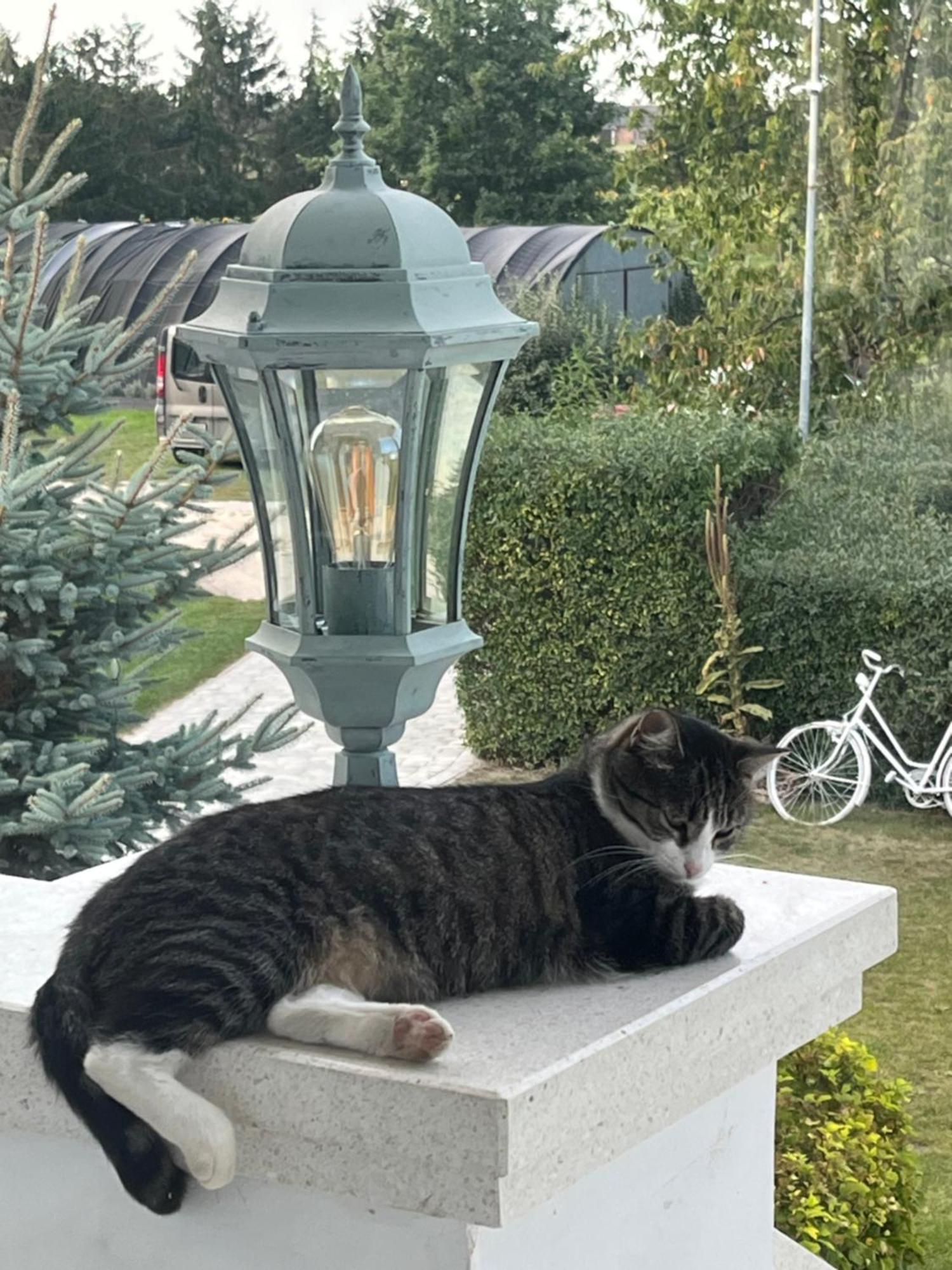 Bed and Breakfast Zielone Zacisze Murzynowo Koscielne Экстерьер фото