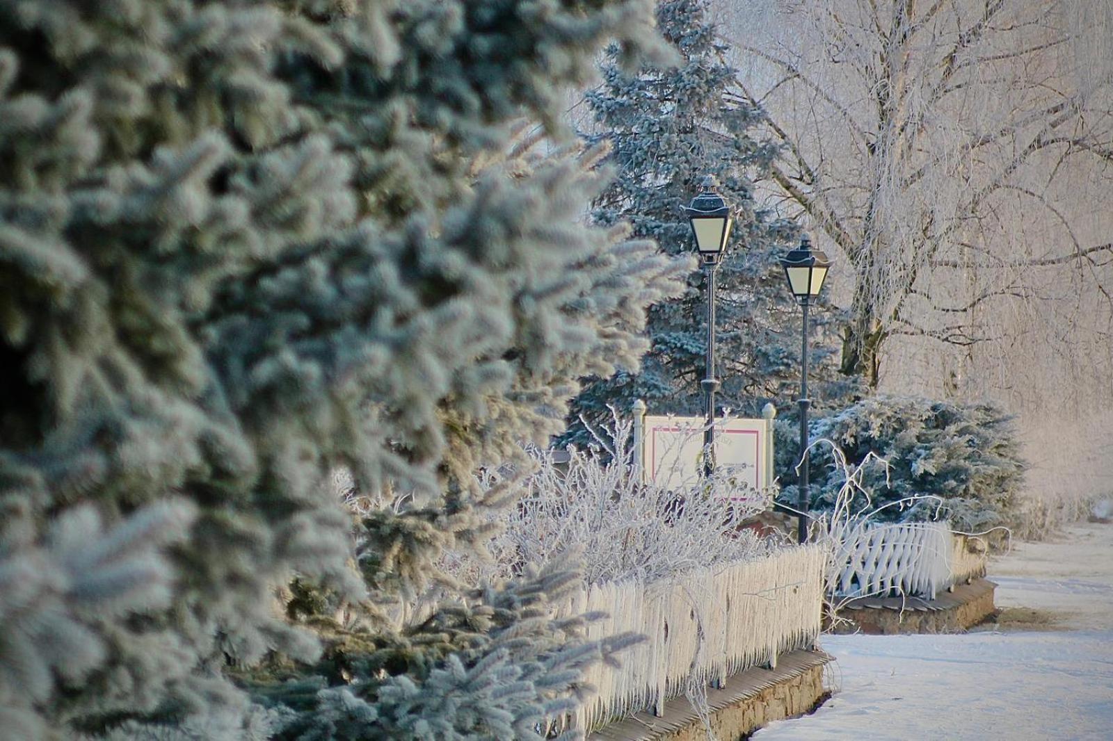 Bed and Breakfast Zielone Zacisze Murzynowo Koscielne Экстерьер фото