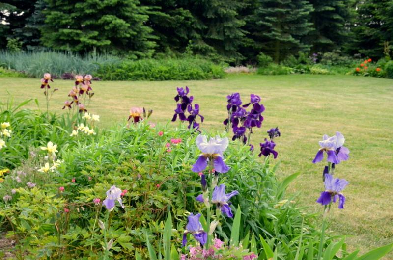 Bed and Breakfast Zielone Zacisze Murzynowo Koscielne Экстерьер фото