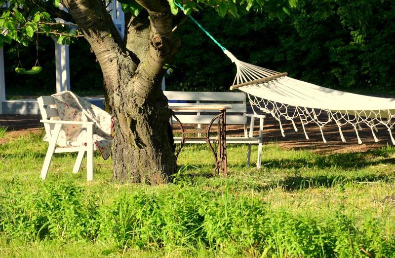 Bed and Breakfast Zielone Zacisze Murzynowo Koscielne Экстерьер фото