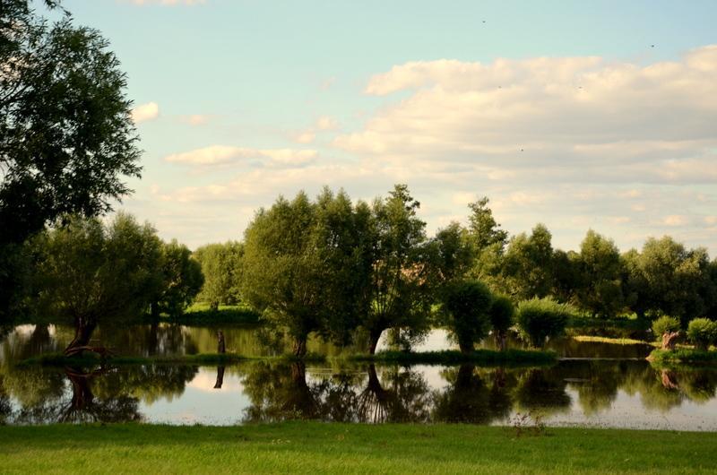 Bed and Breakfast Zielone Zacisze Murzynowo Koscielne Экстерьер фото